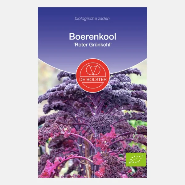 Boerenkool 'Roter Grünkohl' BIO - 51Dnspod | Smaakvolle damp – Verzendkosten vrij vanaf 40€