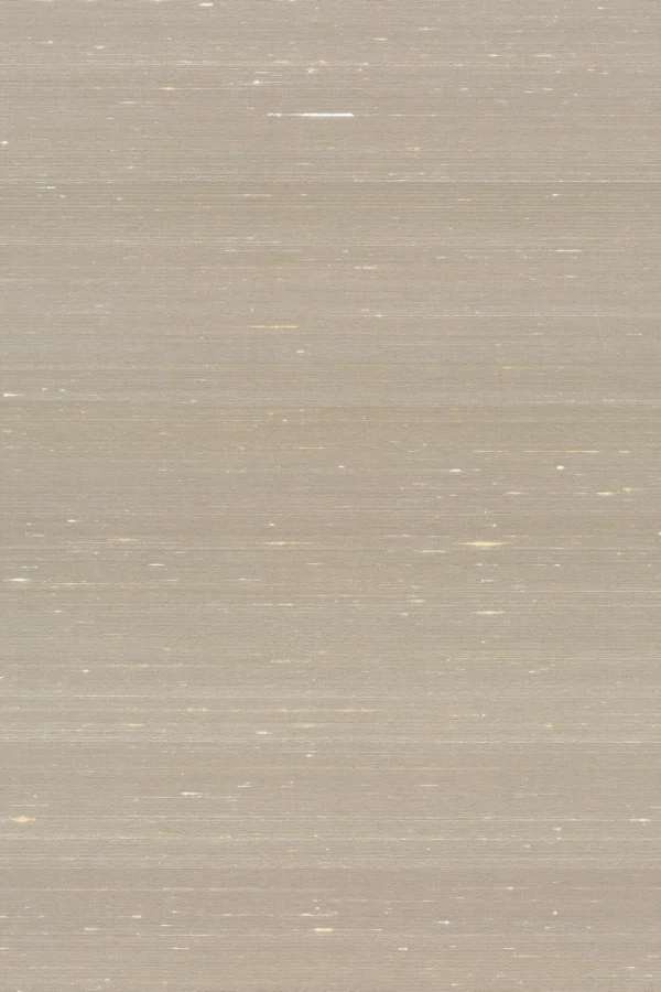 ARTE Kami Dupion 87212 - 51Dnspod | Smaakvolle damp – Verzendkosten vrij vanaf 40€