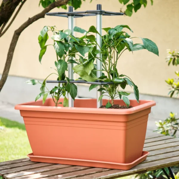 Chili Buddy - Klimsteun voor peperplant - 51Dnspod | Smaakvolle damp – Verzendkosten vrij vanaf 40€