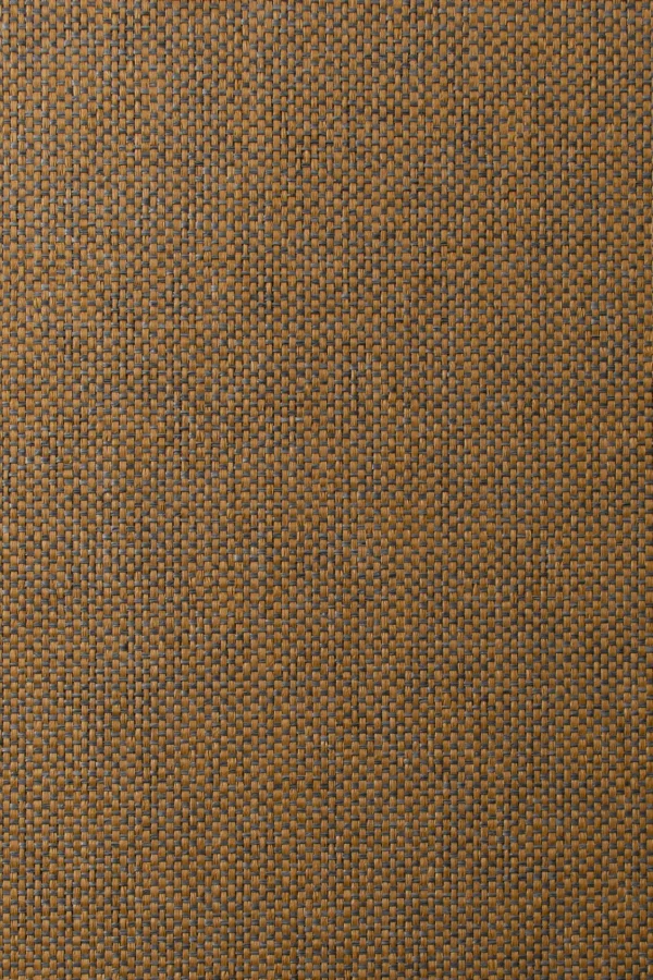 ARTE Ligna Scope 42080 - 51Dnspod | Smaakvolle damp – Verzendkosten vrij vanaf 40€