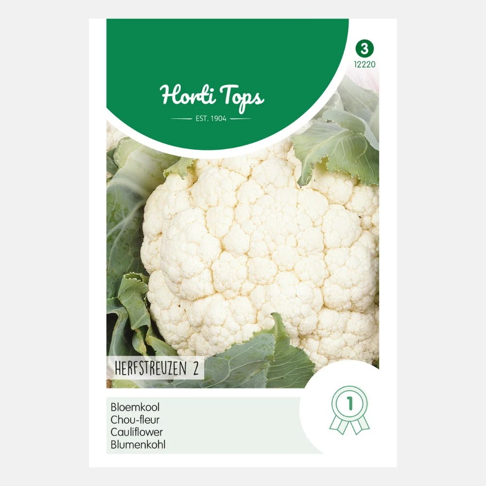 Bloemkool 'Herfstreuzen 2' - 51Dnspod | Smaakvolle damp – Verzendkosten vrij vanaf 40€ Bloemkool 'Herfstreuzen 2' - 51Dnspod | Smaakvolle damp – Verzendkosten vrij vanaf 40€