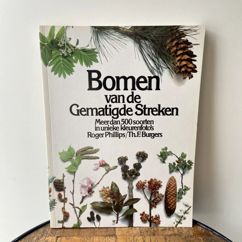 Bomen van de Gematigde Streken - 51Dnspod | Smaakvolle damp – Verzendkosten vrij vanaf 40€ Bomen van de Gematigde Streken - 51Dnspod | Smaakvolle damp – Verzendkosten vrij vanaf 40€