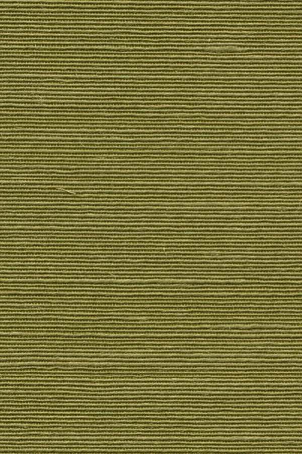 ARTE Boutique Agave 90531 - 51Dnspod | Smaakvolle damp – Verzendkosten vrij vanaf 40€