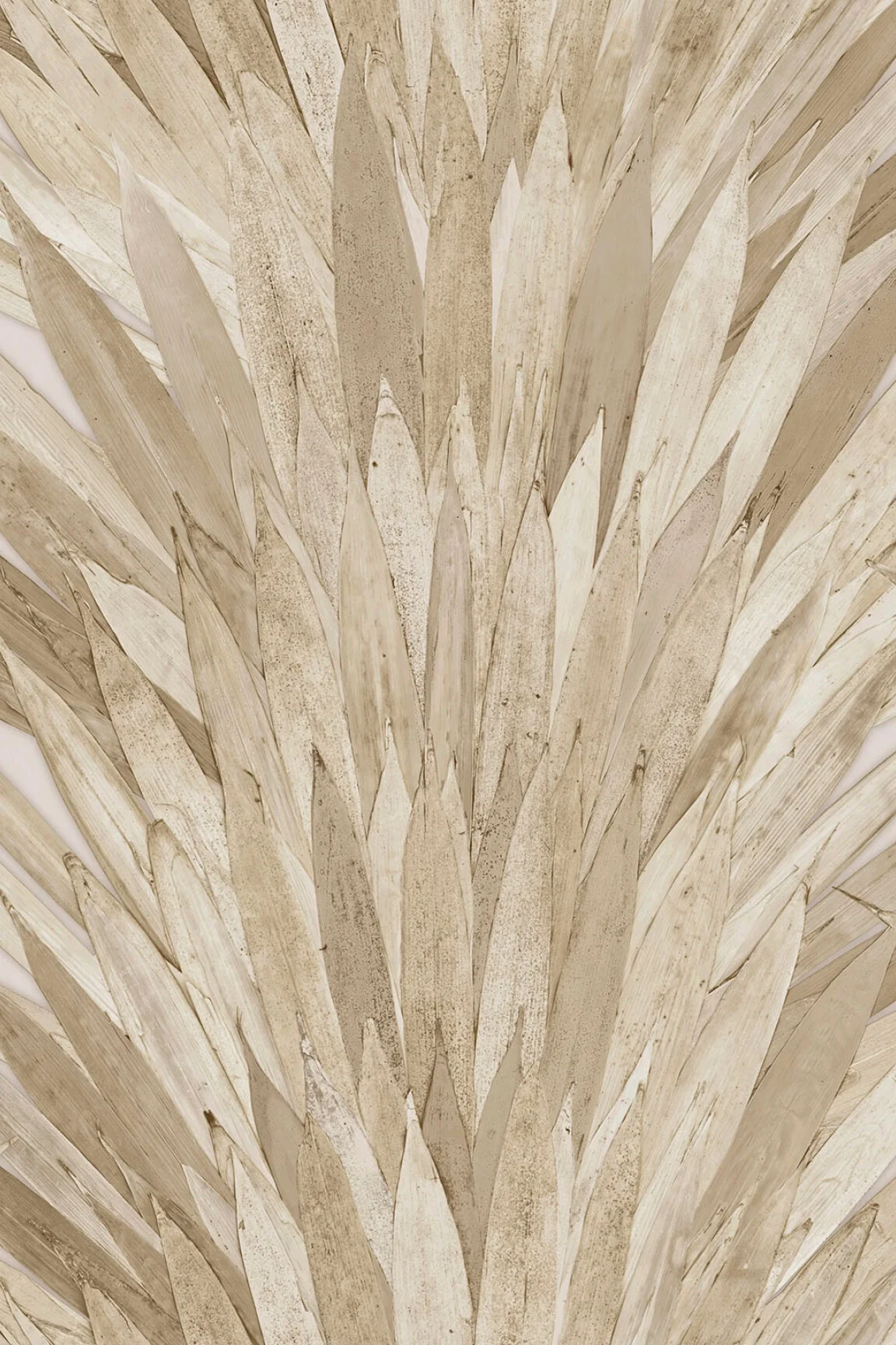 ARTE Selva Abanico 34004 - 51Dnspod | Smaakvolle damp – Verzendkosten vrij vanaf 40€ ARTE Selva Abanico 34004 - 51Dnspod | Smaakvolle damp – Verzendkosten vrij vanaf 40€