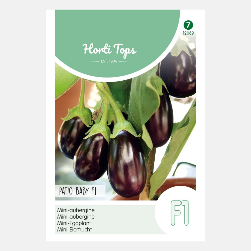Aubergine 'Patio Baby' F1 - 51Dnspod | Smaakvolle damp – Verzendkosten vrij vanaf 40€ Aubergine 'Patio Baby' F1 - 51Dnspod | Smaakvolle damp – Verzendkosten vrij vanaf 40€