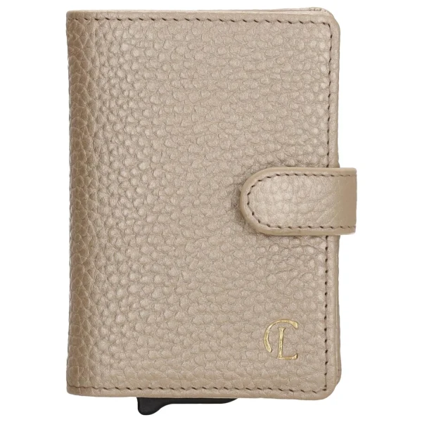 Charm Credicard etui 21276 Washington Champagne 095 - 51Dnspod | Smaakvolle damp – Verzendkosten vrij vanaf 40€