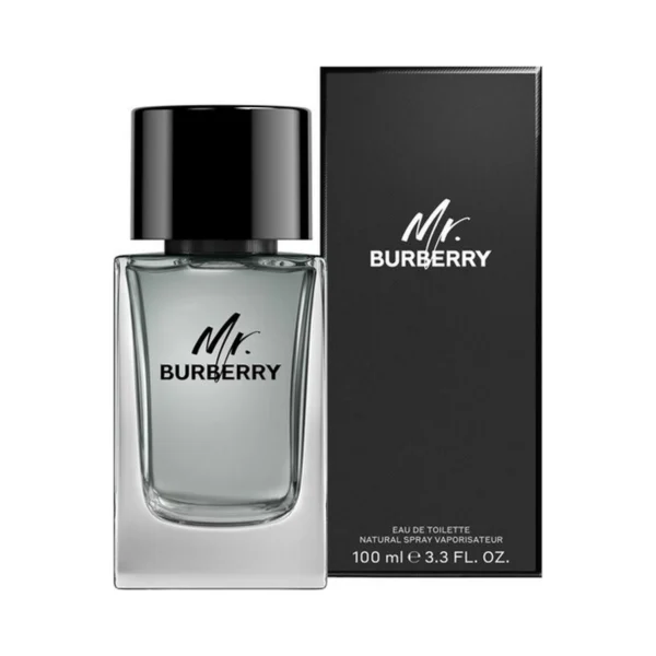 Burberry Mr. Burberry – 100ml EDT-spray – Herenparfum - 51Dnspod | Smaakvolle damp – Verzendkosten vrij vanaf 40€