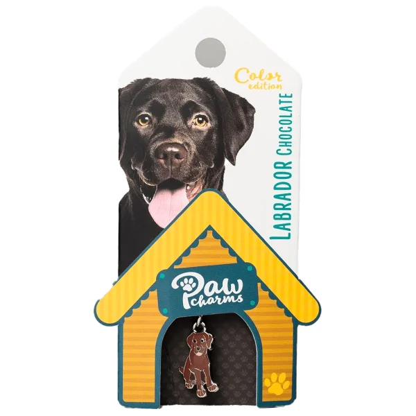 Bedeltje - Labrador Bruin - Stijlvol - voor Jouw huisdier & jezelf - 51Dnspod | Smaakvolle damp – Verzendkosten vrij vanaf 40€