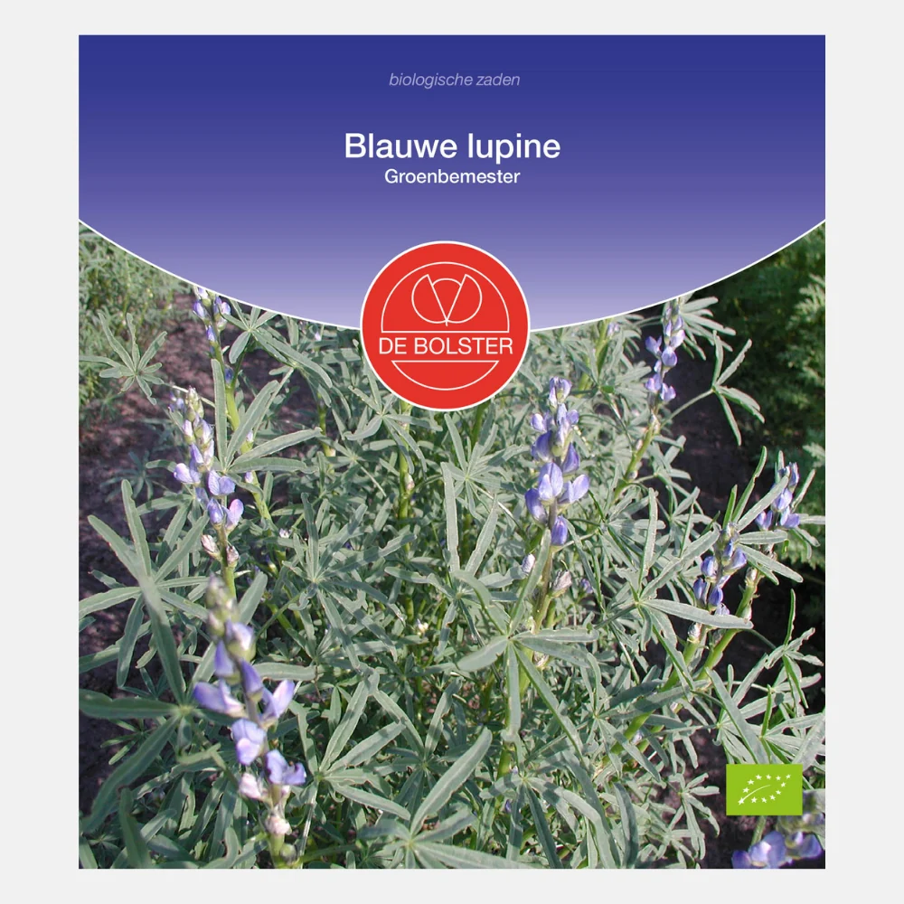 Blauwe lupine BIO - 51Dnspod | Smaakvolle damp – Verzendkosten vrij vanaf 40€ Blauwe lupine BIO - 51Dnspod | Smaakvolle damp – Verzendkosten vrij vanaf 40€