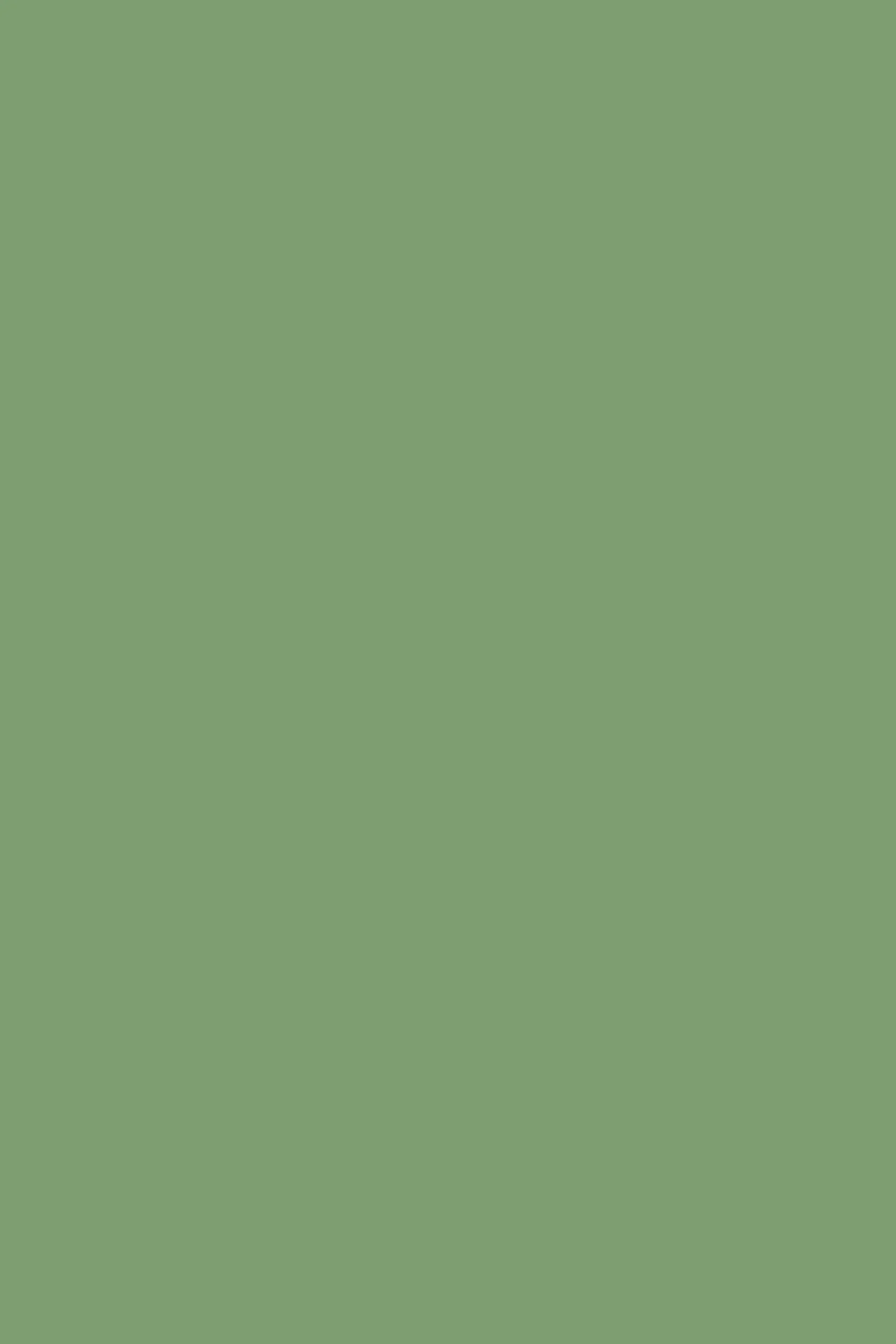 Casein Distemper | Folly Green no. 76 - 51Dnspod | Smaakvolle damp – Verzendkosten vrij vanaf 40€ Casein Distemper | Folly Green no. 76 - 51Dnspod | Smaakvolle damp – Verzendkosten vrij vanaf 40€