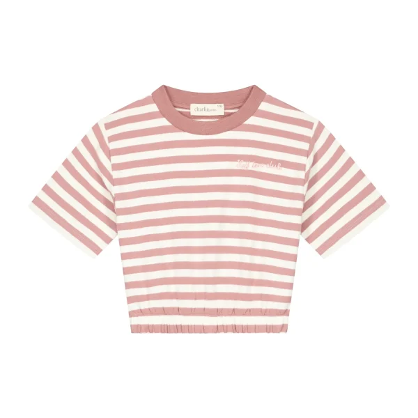 Charlie Petite | Lianne T-Shirt | Stripes Pink/Ecru - 51Dnspod | Smaakvolle damp – Verzendkosten vrij vanaf 40€