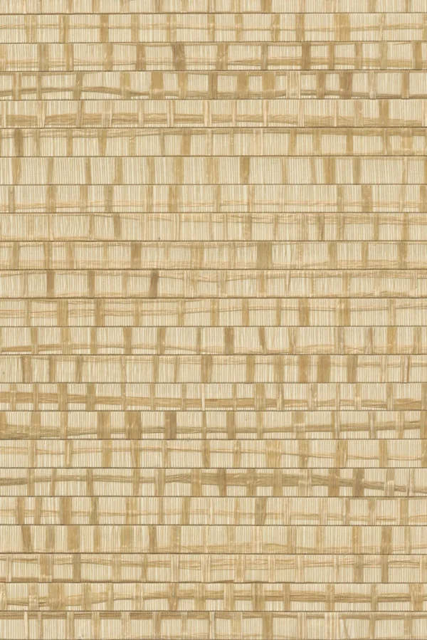 ARTE Les Forêts Ruban 48072 - 51Dnspod | Smaakvolle damp – Verzendkosten vrij vanaf 40€
