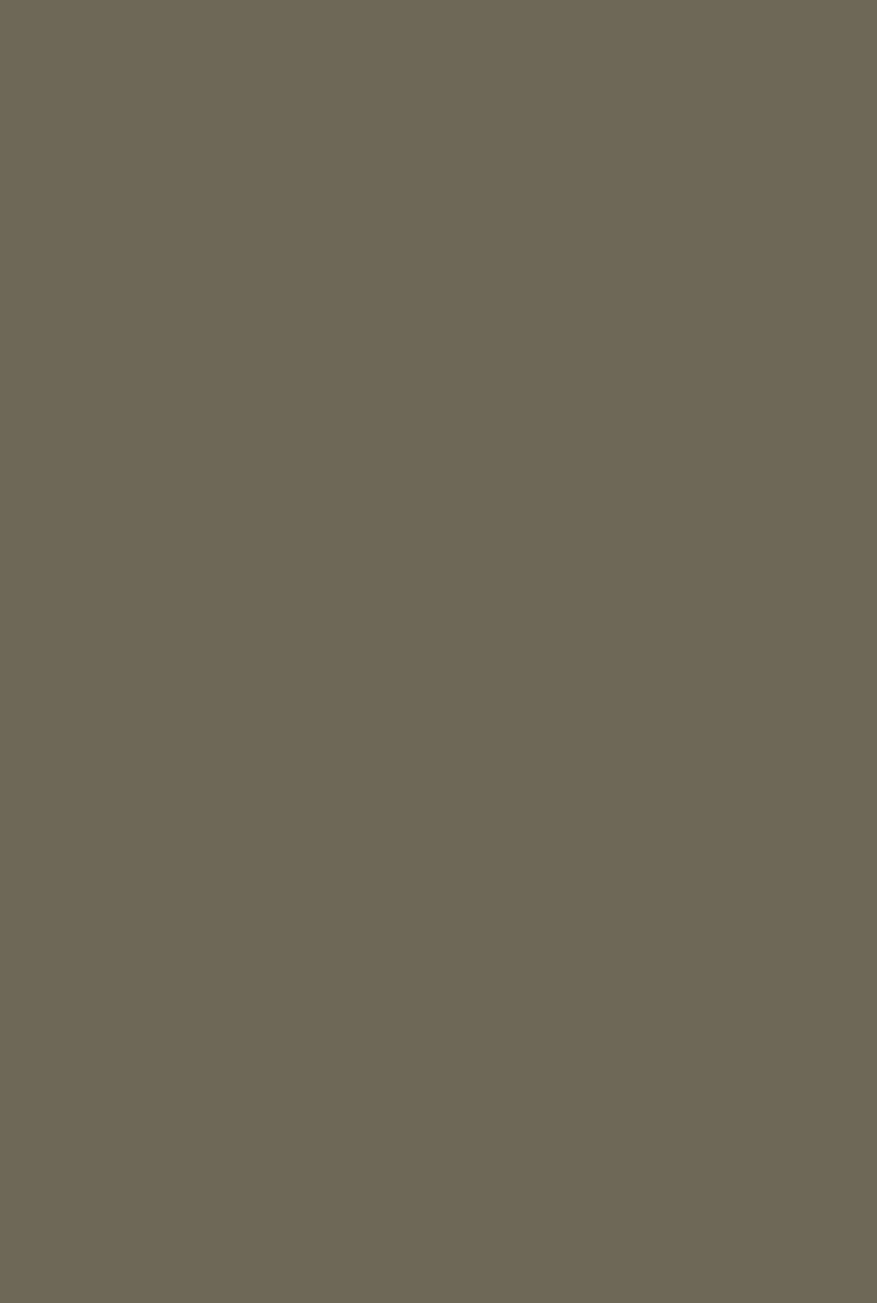 Casein Distemper | Pantalon no. 221 - 51Dnspod | Smaakvolle damp – Verzendkosten vrij vanaf 40€ Casein Distemper | Pantalon no. 221 - 51Dnspod | Smaakvolle damp – Verzendkosten vrij vanaf 40€