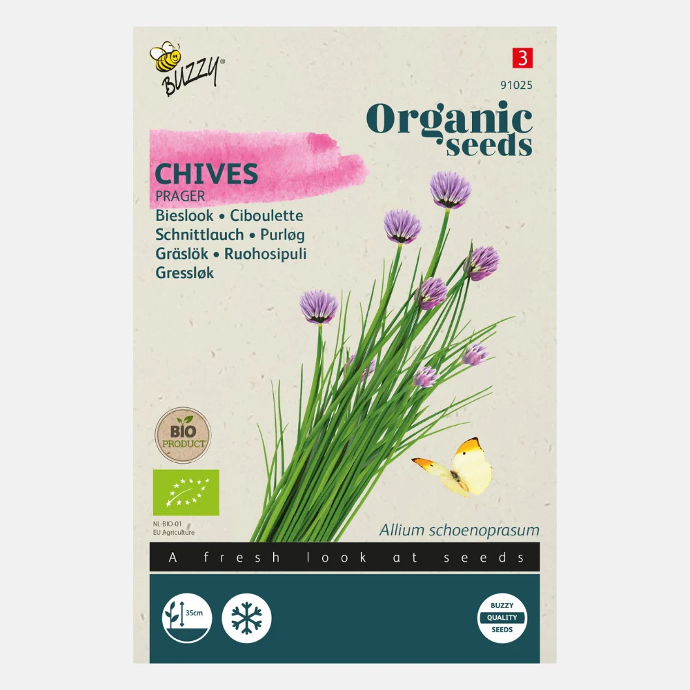 Bieslook 'Prager' BIO - 51Dnspod | Smaakvolle damp – Verzendkosten vrij vanaf 40€ Bieslook 'Prager' BIO - 51Dnspod | Smaakvolle damp – Verzendkosten vrij vanaf 40€