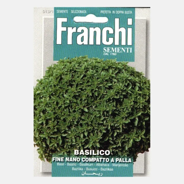 Basilicum 'Basilico Fino Nano-Palla' - 51Dnspod | Smaakvolle damp – Verzendkosten vrij vanaf 40€