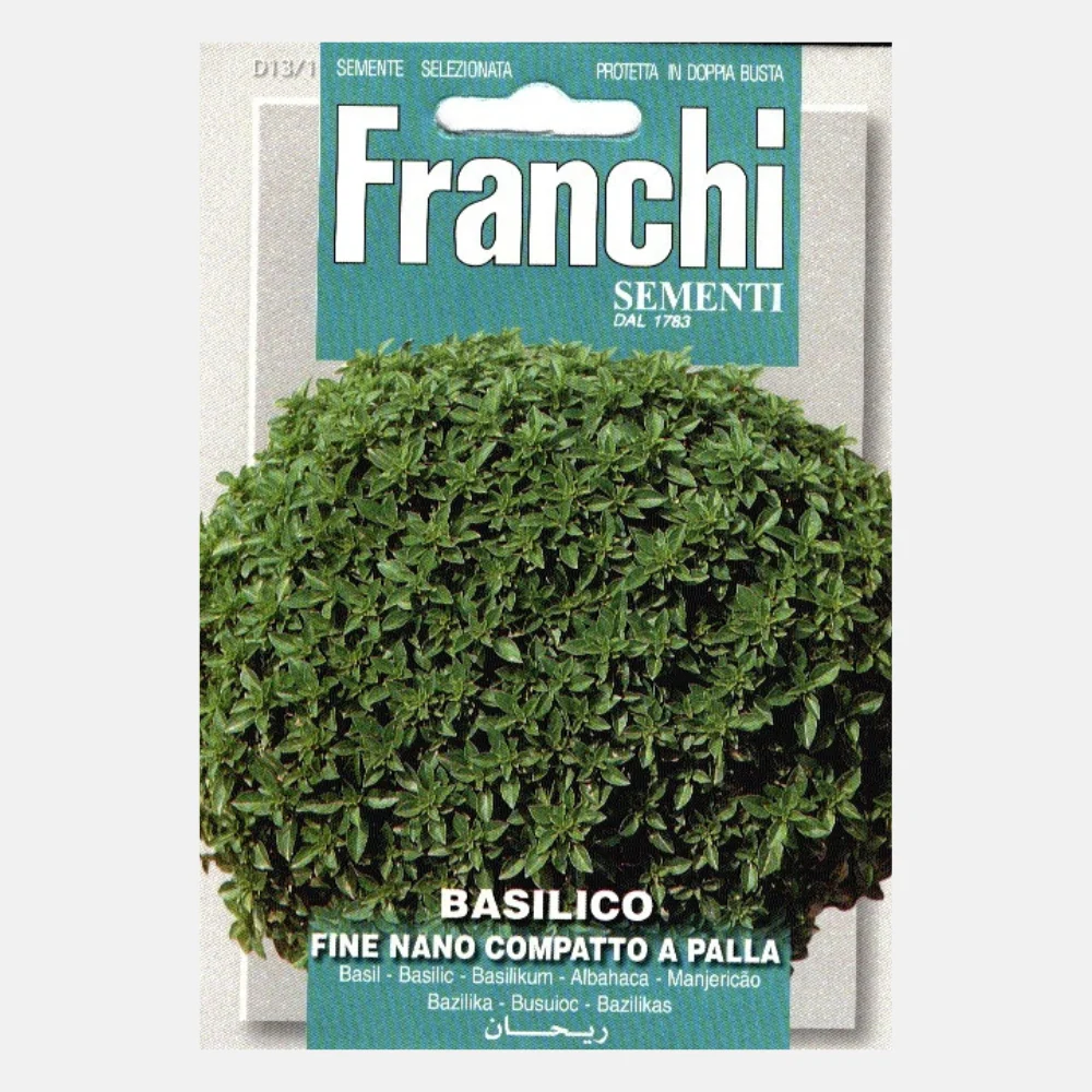 Basilicum 'Basilico Fino Nano-Palla' - 51Dnspod | Smaakvolle damp – Verzendkosten vrij vanaf 40€ Basilicum 'Basilico Fino Nano-Palla' - 51Dnspod | Smaakvolle damp – Verzendkosten vrij vanaf 40€