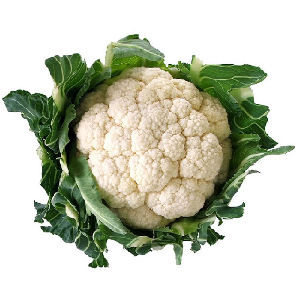 Biologische Bloemkool - 51Dnspod | Smaakvolle damp – Verzendkosten vrij vanaf 40€ Biologische Bloemkool - 51Dnspod | Smaakvolle damp – Verzendkosten vrij vanaf 40€