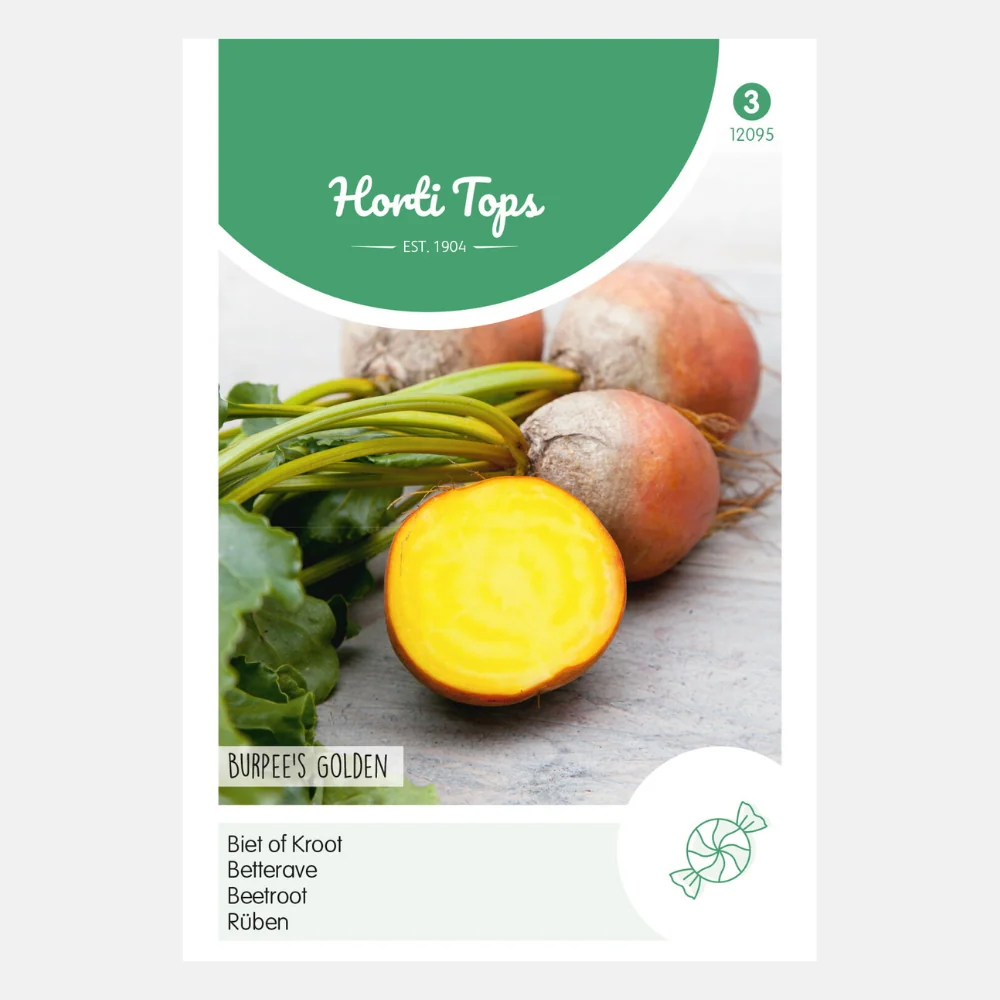 Bieten 'Burpee's Golden' - 51Dnspod | Smaakvolle damp – Verzendkosten vrij vanaf 40€ Bieten 'Burpee's Golden' - 51Dnspod | Smaakvolle damp – Verzendkosten vrij vanaf 40€